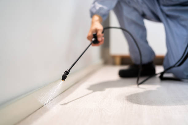 Licensed Rodent Control service in North Falmouth, MA - Nex Pest Control