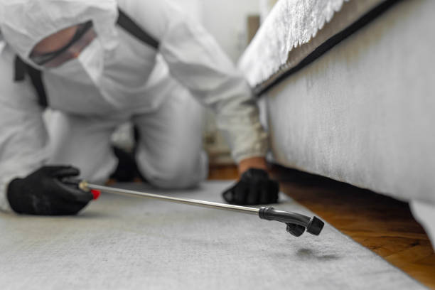 Professional Rodent Control technician working in North Falmouth, MA