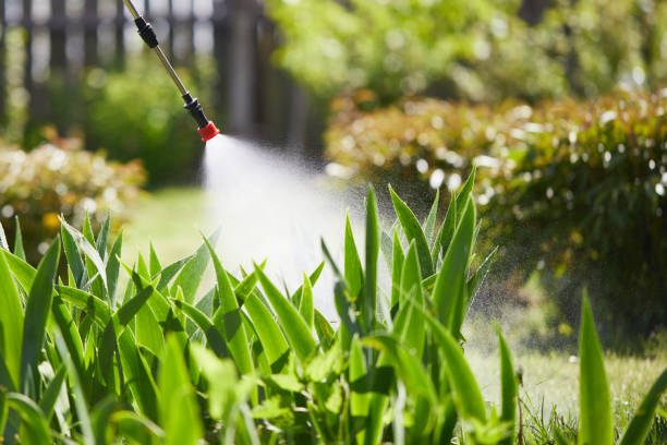 24/7 Emergency Rodent Control experts in North Falmouth, MA