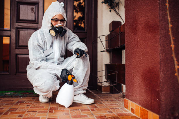 Reliable Rodent Control contractor in North Falmouth, MA by Nex Pest Control