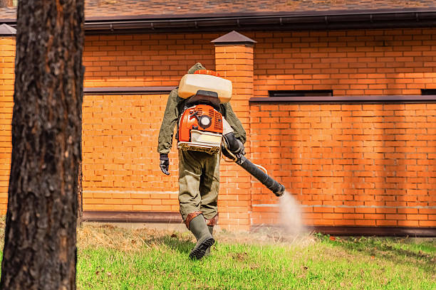 Trusted Emergency Pest Control service in North Falmouth, MA - Nex Pest Control